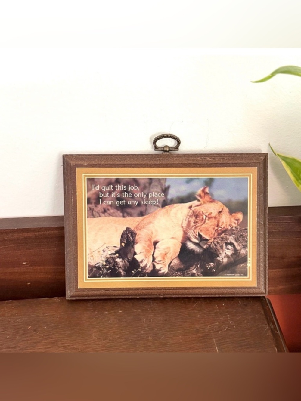 Vintage Lion I’d Quit This Job Sleep Wall Hanging Wood Plaque Hallmark Funny Job